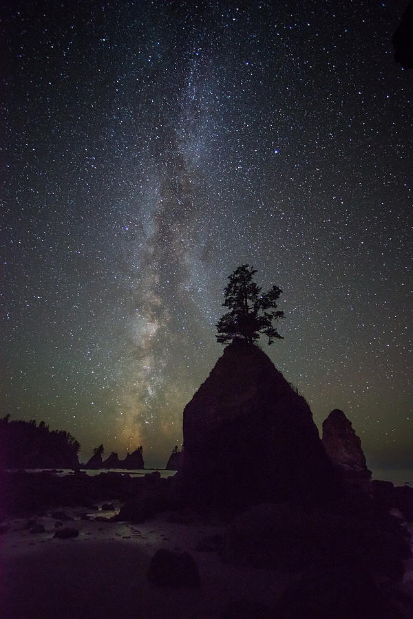 Washington Shi Shi Beach Milky Way Photograph by TM Schultze
