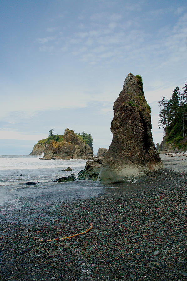 Washington State Seashore Photograph by Nancy Landry