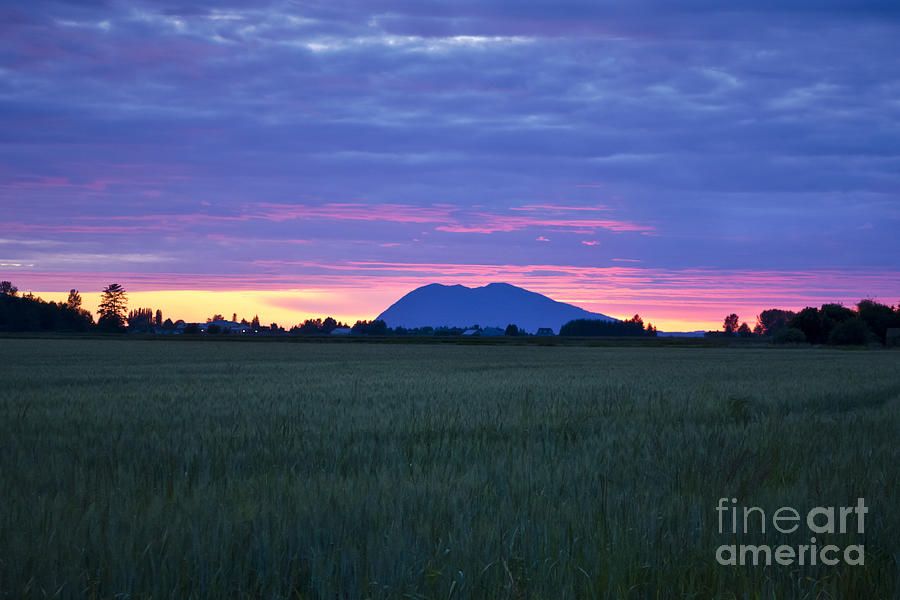 Washington Sunset on the Mountain Photograph by Maria Janicki