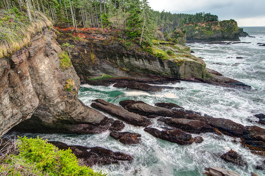 Washington's Rocky Coast Photograph by Richard Leighton - Fine Art America