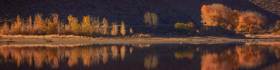 Washoe Lake in Fall Pano Photograph by Janis Knight