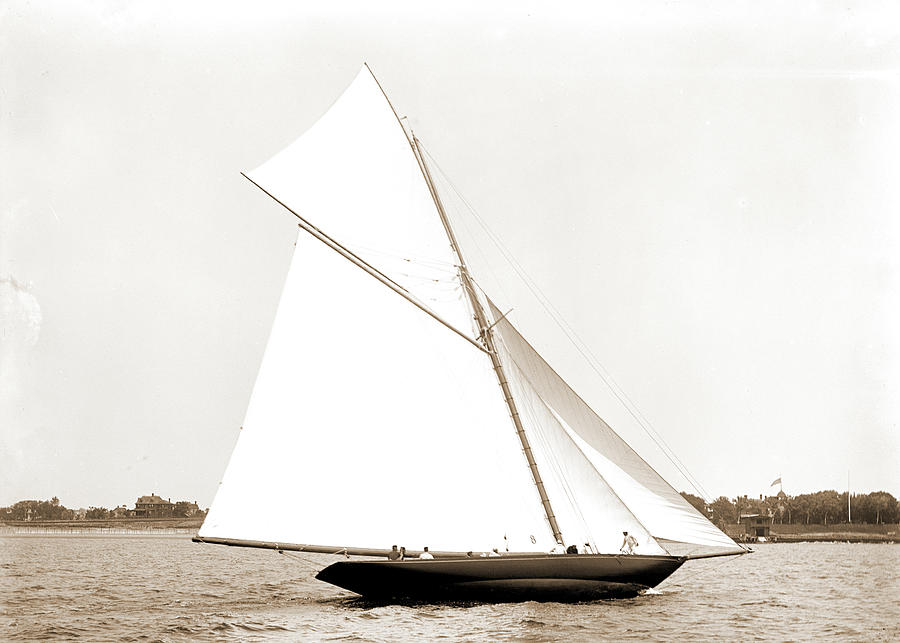 Wasp, June 11, 1892, Wasp Sloop, Yachts Drawing by Litz Collection ...