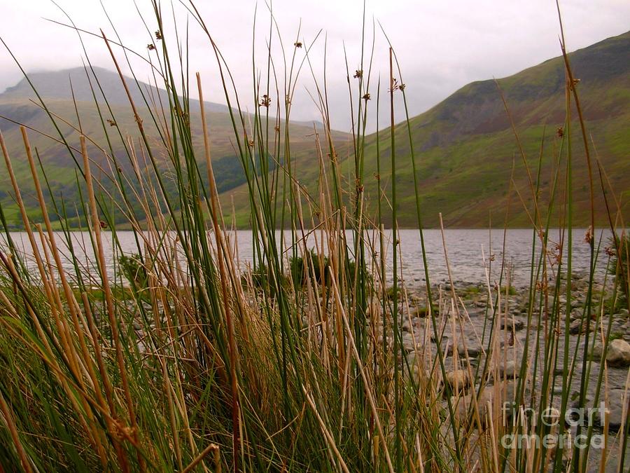 Wastwater Through The Reeds Photograph by Joan-Violet Stretch