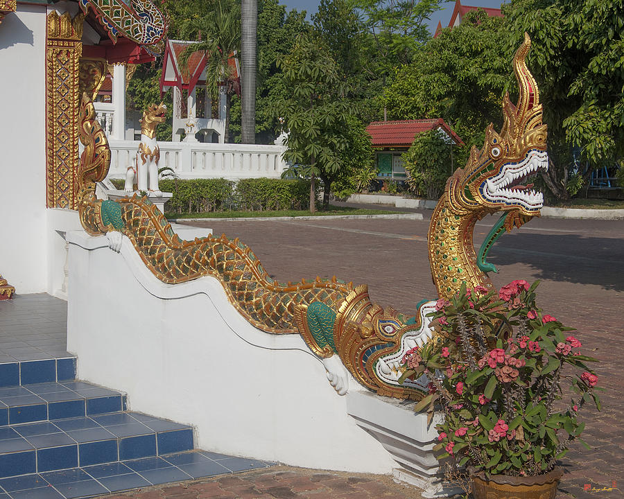 Wat Ban Ping Phra Ubosot Naga DTHCM0332 Photograph by Gerry Gantt