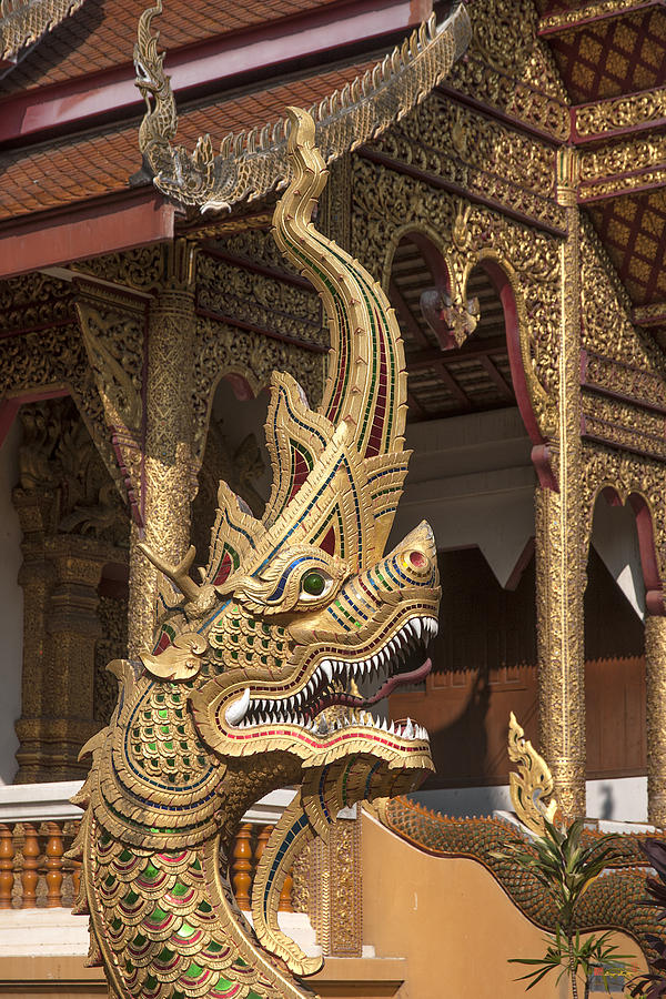 Wat Meuang Muang Phra Wiharn Naga  DTHCM0112 Photograph by Gerry Gantt