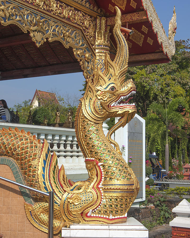 Wat Phra Singh Phra Wihan Luang Naga DTHCM0240 Photograph by Gerry Gantt