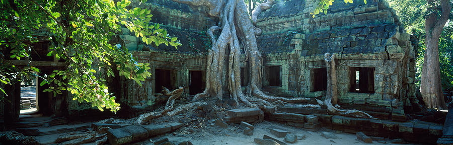Tree Photograph - Wat Temple Complex Of Ta-prohm Cambodia by Panoramic Images