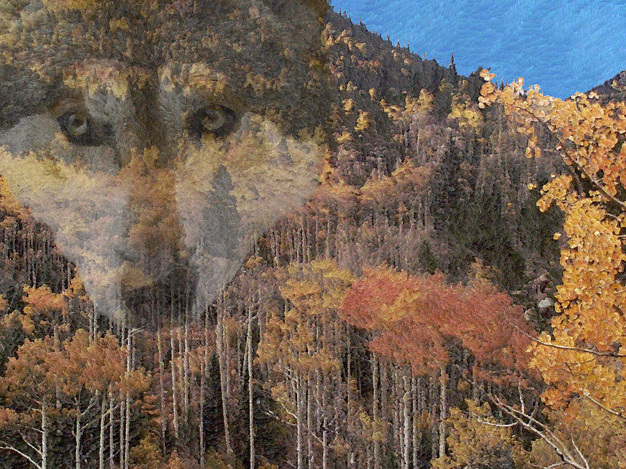 Watcher In The Woods Digital Art by Ernest Echols