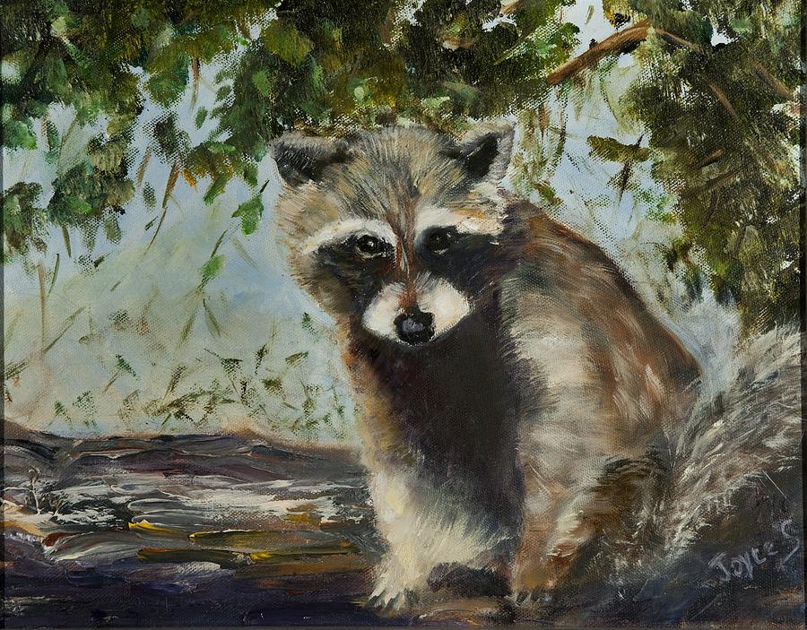 Watchful Raccoon Painting by Joyce Spencer