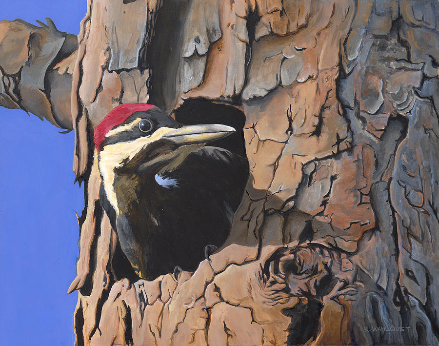 Bird Painting - Watchful Woodpecker by Kirsten Wahlquist Bird Painting - Watchful Woodpecker by Kirsten Wahlquist
