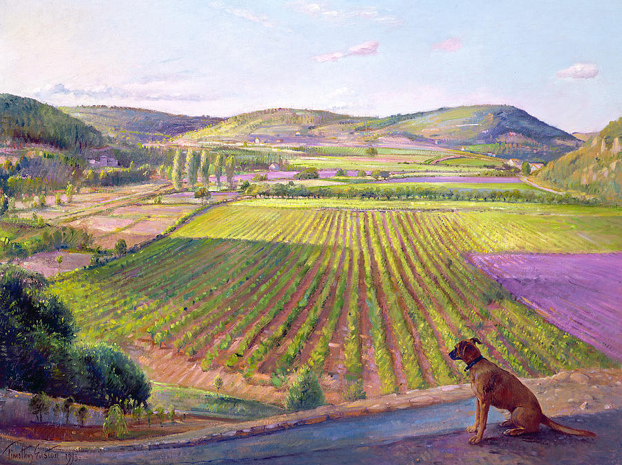 Watching from the Walls Old Provence Painting by Timothy  Easton