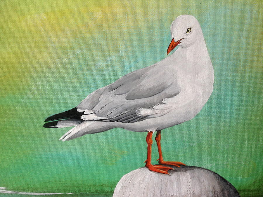Seagull Painting - Watching by Laura Parrish
