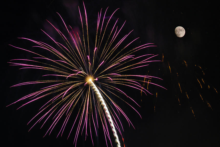 Watching Pink and Gold Explosion - Fireworks and Moon I  Photograph by Penny Lisowski