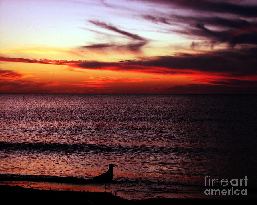 Sunset Photograph - Watching the Sunset by Doris Wood