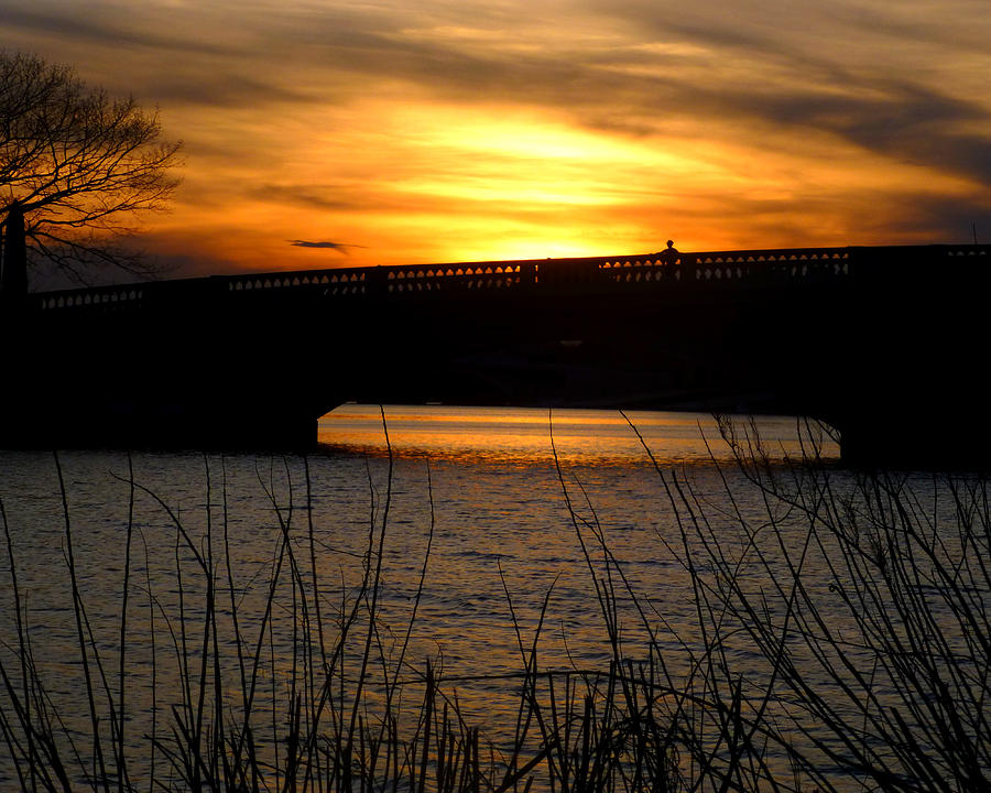 Watching the sunset from the John Weeks Bridge Photograph by Toby McGuire