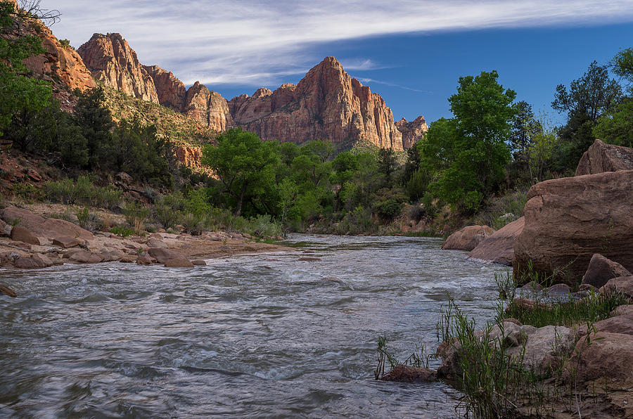 Watchman in Spring Photograph by Greg Nyquist