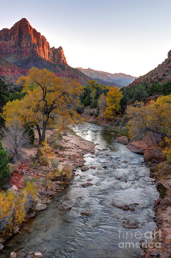 Sunset Photograph - Watchman Sunset in Fall - Zion National Park by Gary Whitton