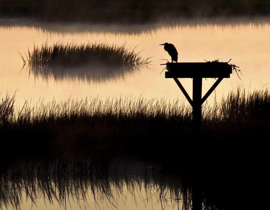 Watchtower Heron Sunrise Sunset Image Art Photograph by Jo Ann Tomaselli