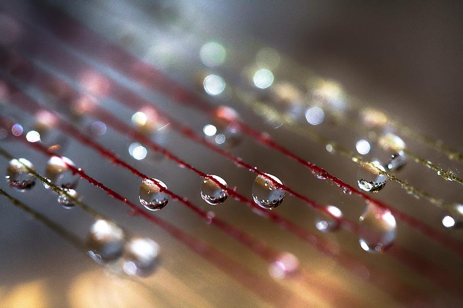 Water and string Photograph by James Mack - Fine Art America