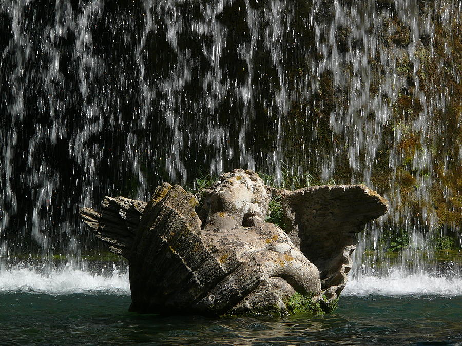 Water Angel Photograph by Evelyn Tambour