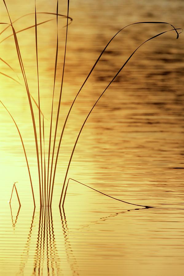 Water At Sunset Photograph by Manuel Presti/science Photo Library ...