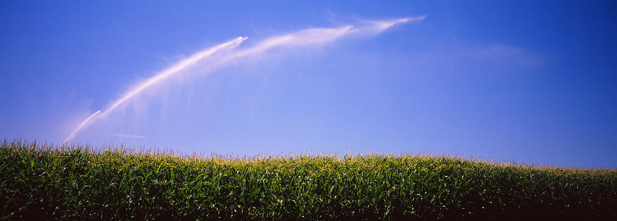Nature Photograph - Water Being Sprayed On A Corn Field by Panoramic Images