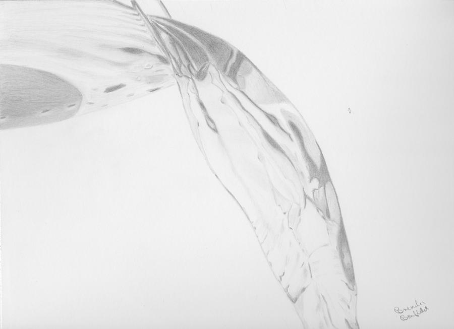 Water Drawing by Brenda Bonfield
