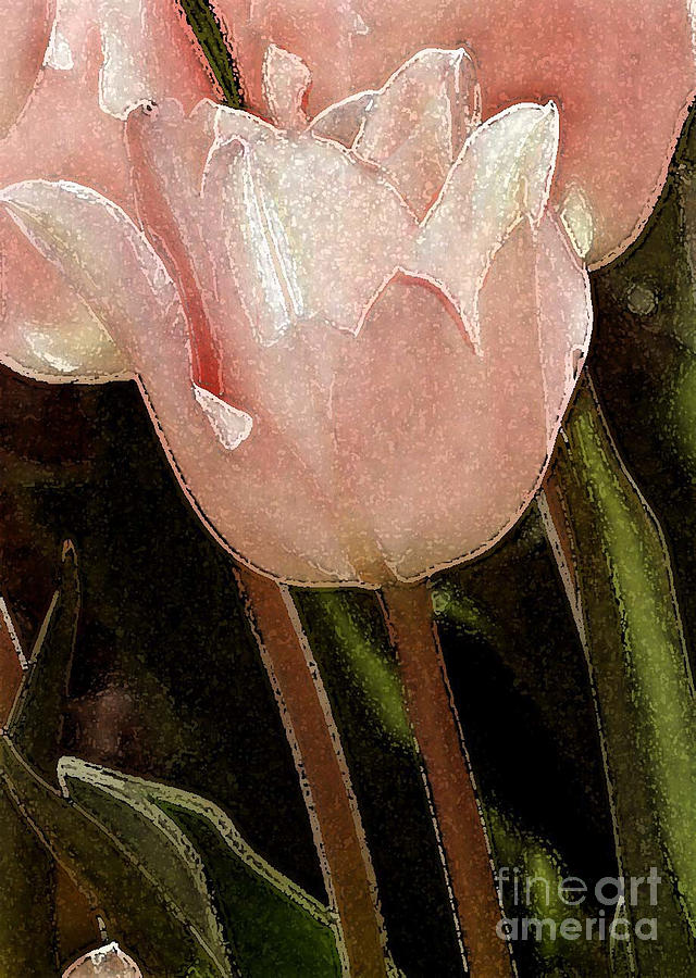 Water Color Tulips Photograph by Sharon Elliott