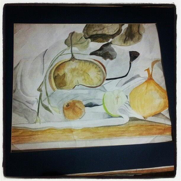 Water Colour Still Life Onion And Apple Photograph by Stephen Shaw