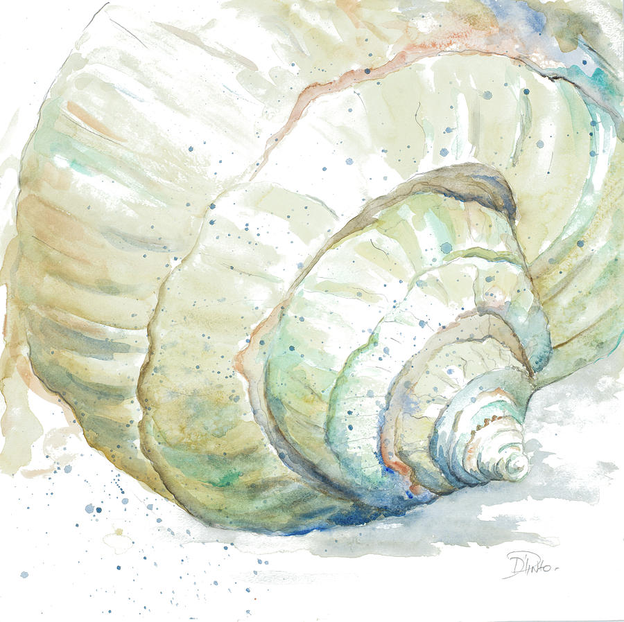 Shell Painting - Water Conch by Patricia Pinto