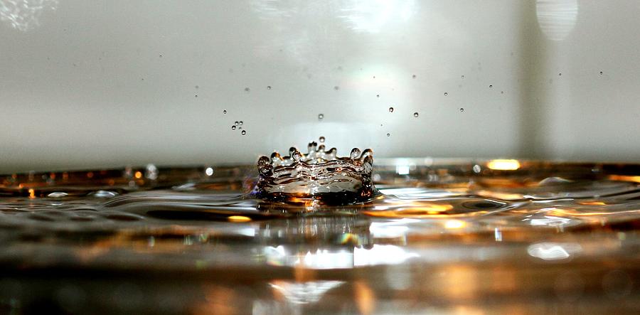 Water Photograph - Water Crown by Debbie Howden