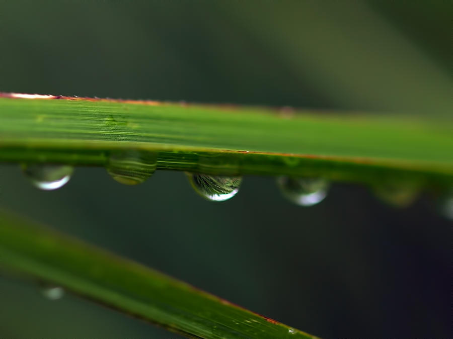 Water Drop 4 Photograph by Robert Gaughan | Fine Art America