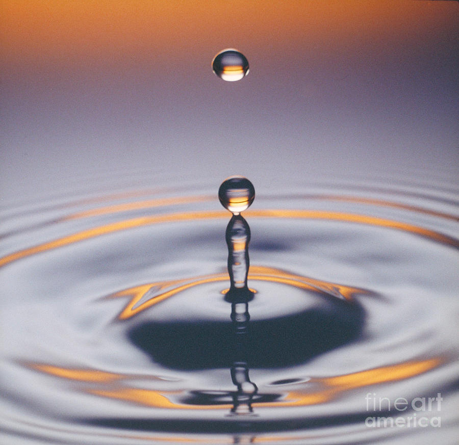 Water Drop Photograph by Hermann Eisenbeiss