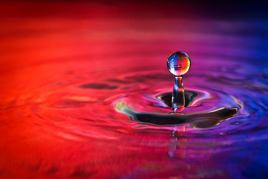 Water Drop in Red and Blue - Water Drop Photograph Photograph by Duane Miller
