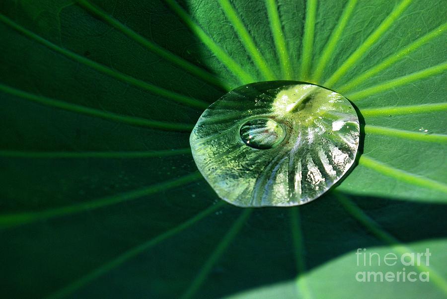 Cool Photograph - Water Drop by John S