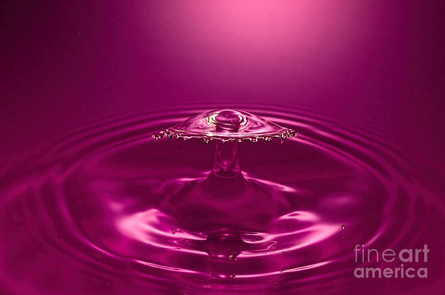 Water Drop Photograph by Les Palenik