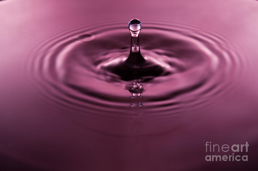 Water Photograph - Water Drop by Patrick Shupert