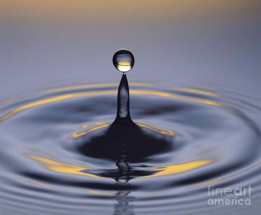Water Droplet Photograph by Hermann Eisenbeiss