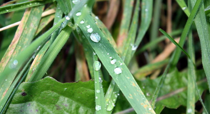 Water droplet Photograph by Liz Bills - Fine Art America