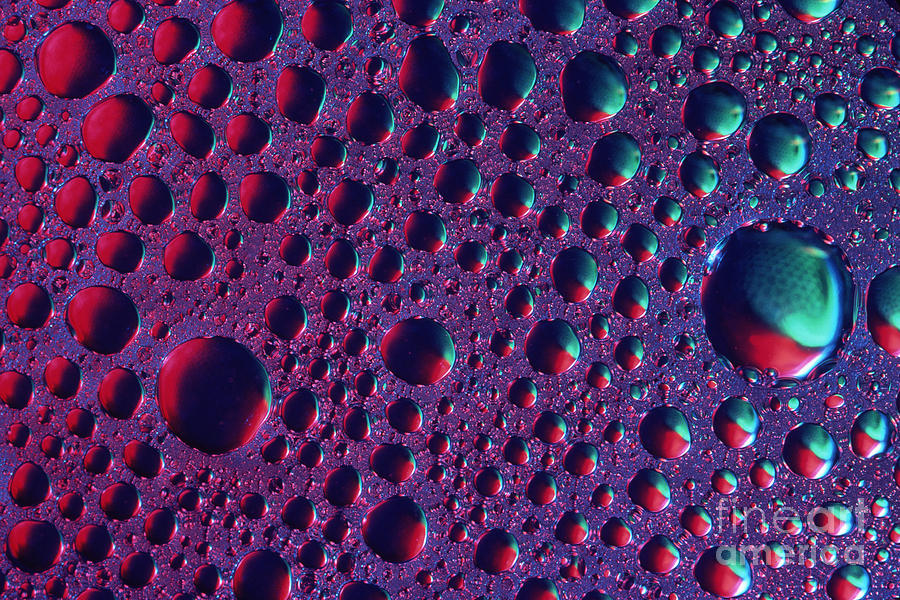 Water Droplets Photograph by Charlotte Raymond