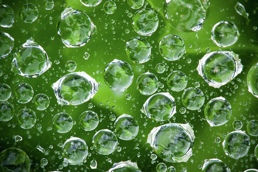 Water Droplets Photograph by Hudiemm