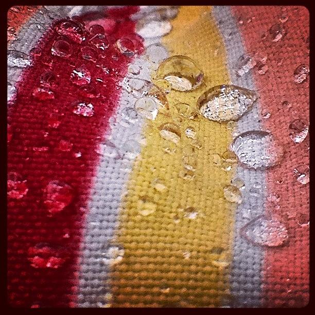 Nature Photograph - Water Droplets... #macro #water #rain by Jenn Waite