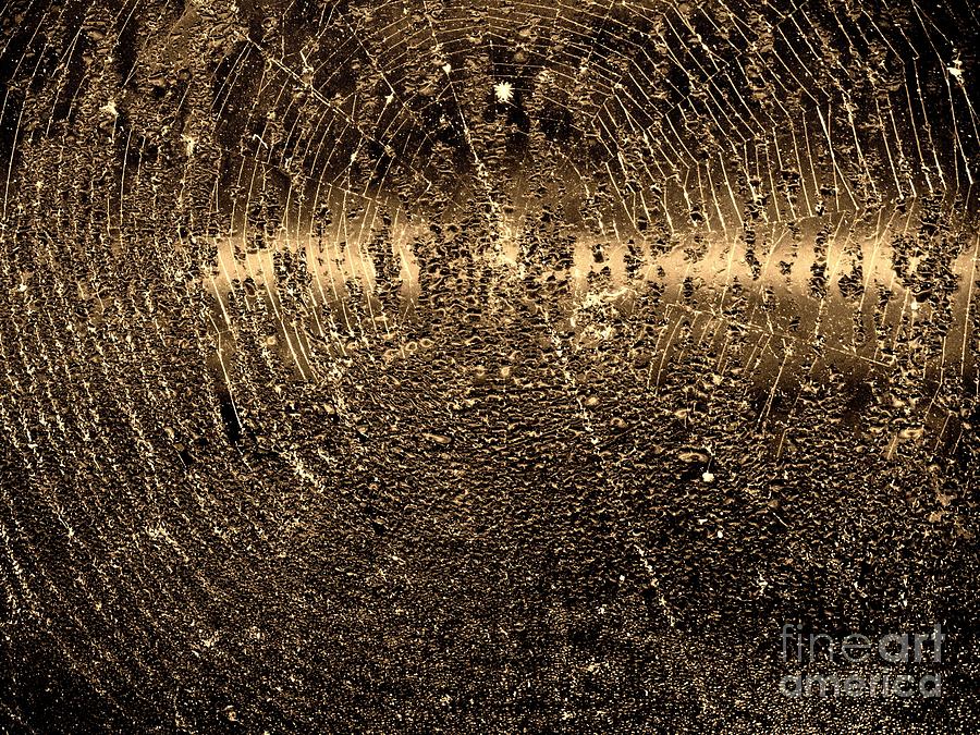 Water Droplets on Spiderweb Photograph by John Harmon