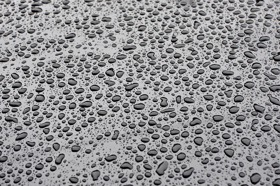 Fall Photograph - Water droplets by Tom Gowanlock