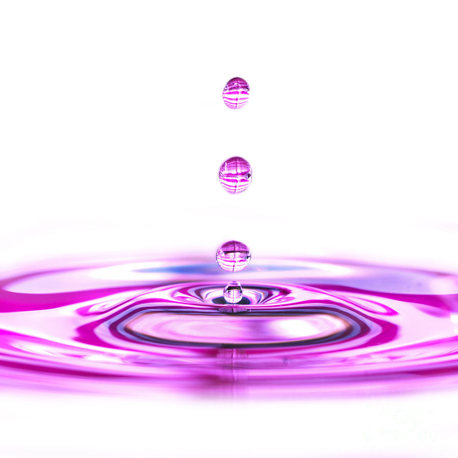 Water Droplets White and Purple Photograph by Sabine Jacobs