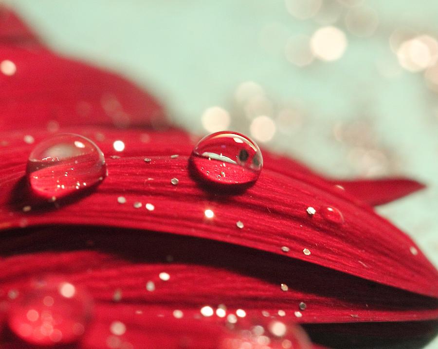 Water Drops and Glitter Photograph by Angela Murdock