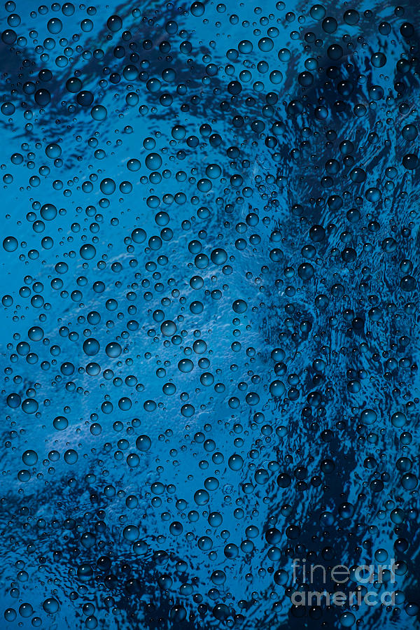 Water Drops Photograph by Dennis D. Potokar