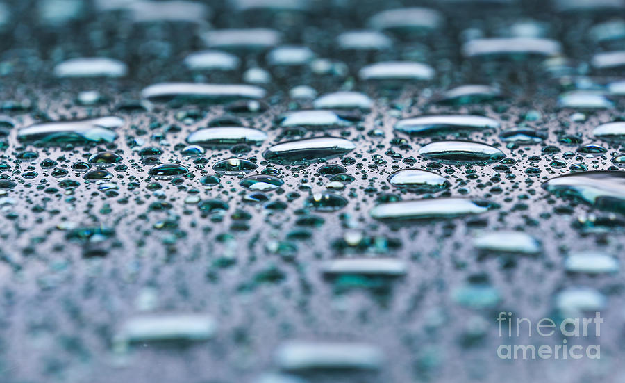 Water Drops Photograph - Water Drops by Mina Isaac