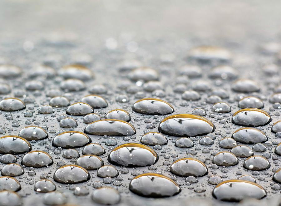 Water Drops On A Rubber Surface by Daniel Sambraus/science Photo Library