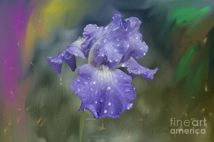 Water Drops on Blue Bearded Iris Painting by Angela Stanton